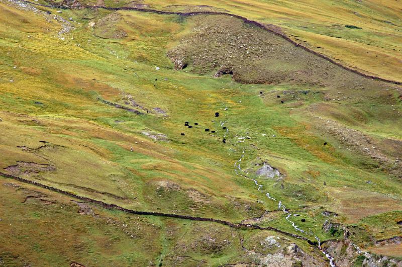 TIBET SEPT2008-169.JPG